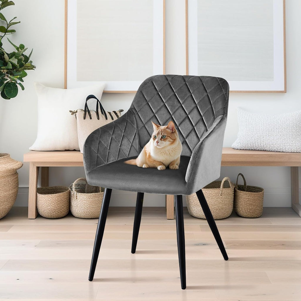 CLIPOP Esszimmerstühle 2er Set, Küchenstühle Grau Samtstoff stühle Polsterstühle mit Armlehne Metallbeine Polstersessel Stühle für Esszimmer Küche (2, Samt Grau)