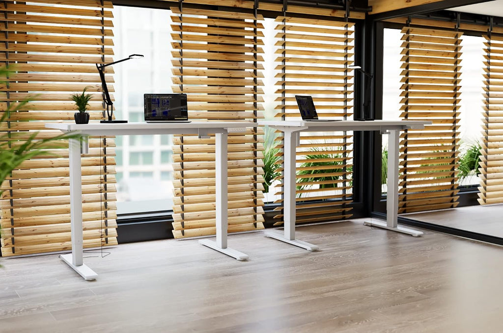FLEXISPOT Höhenverstellbarer Schreibtisch elektrisch, Doppelmotor 160x80 cm