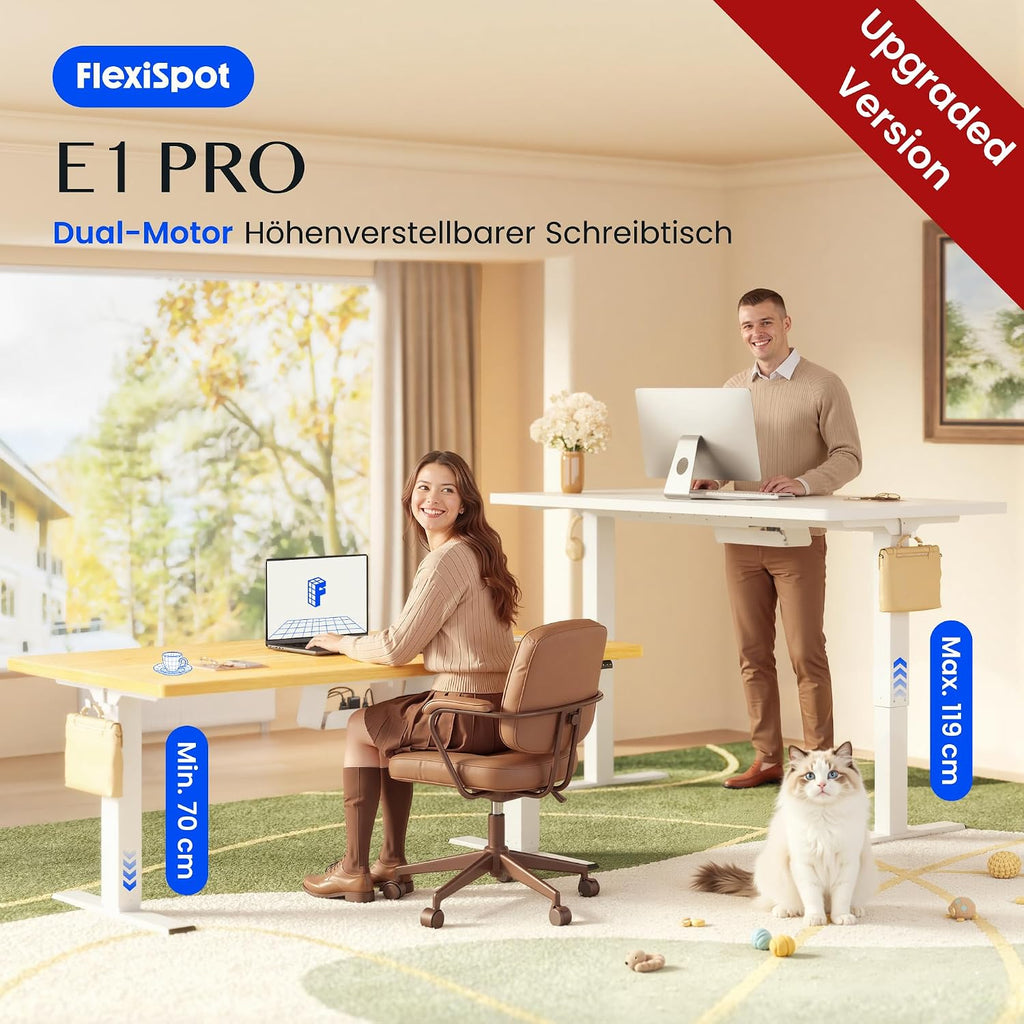 FLEXISPOT Höhenverstellbarer Schreibtisch elektrisch, Doppelmotor 160x80 cm